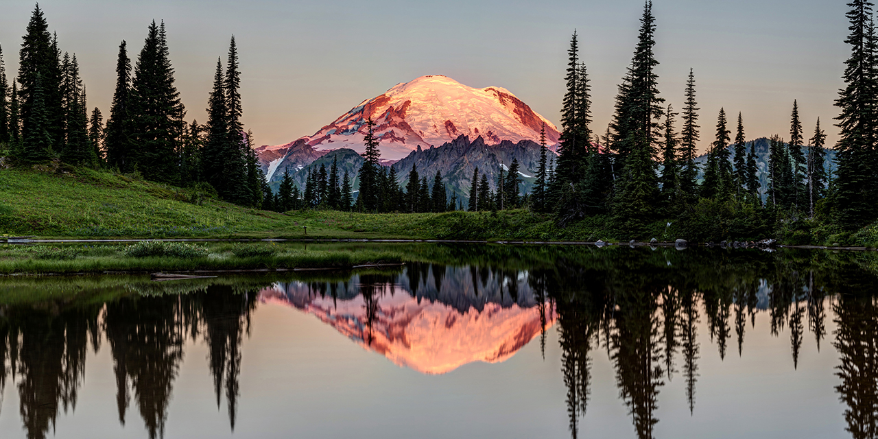 Mt Rainier National Park